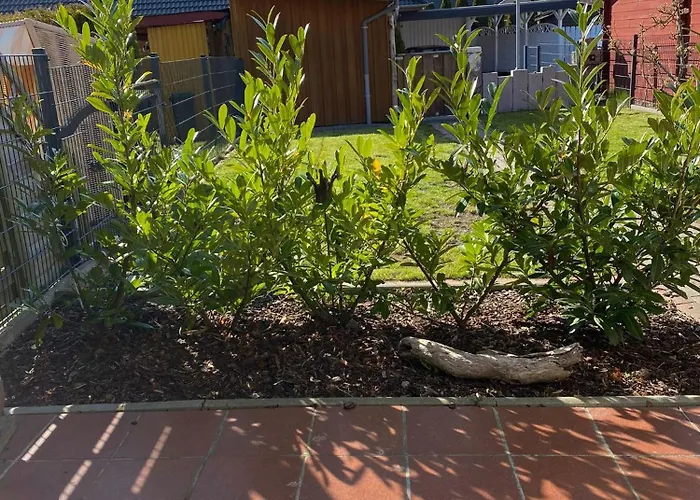 Fischerhus Casa de Férias